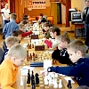 Шахматы в школах